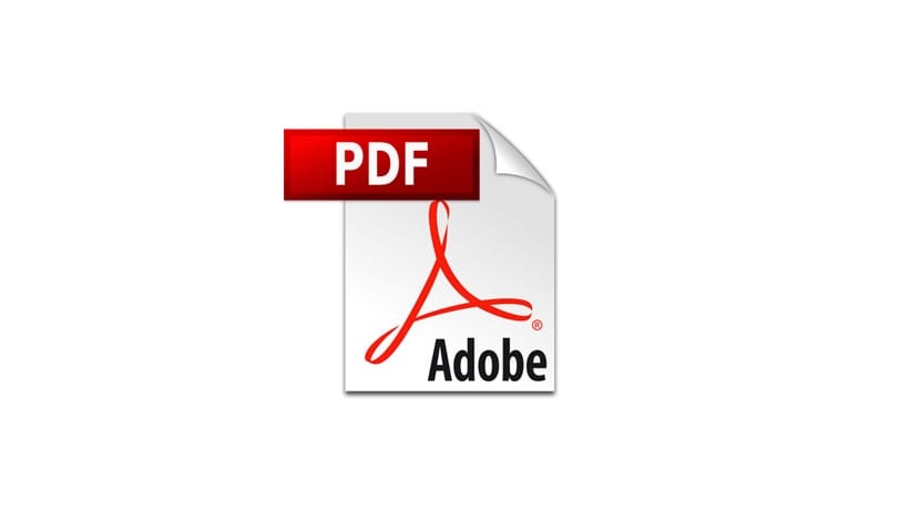 Descargar PDF