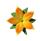 gif lirio